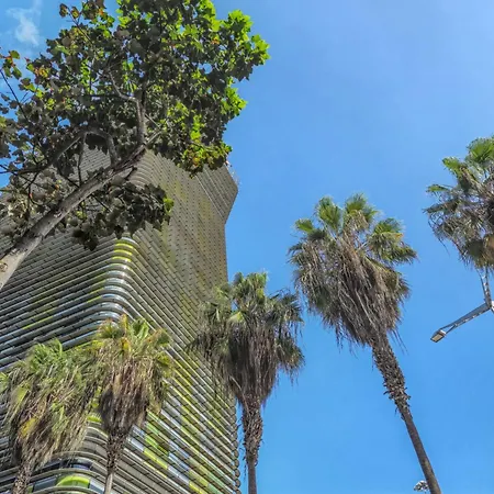 Apartment Beachfront In Palmas Near Playa Las Palmas de Gran Canaria
